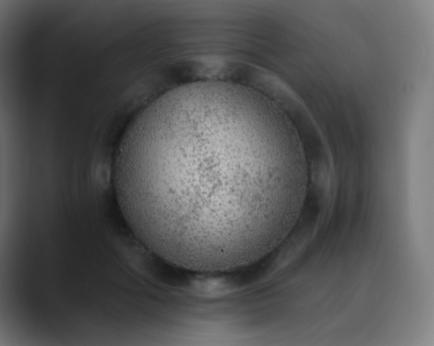 X0000089830602200706281213