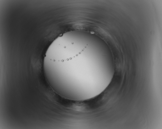 X0000089830603200706281213