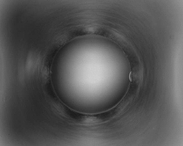 X0000089830605200706281213