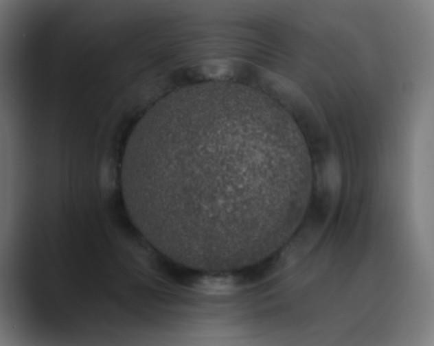 X0000089830606200706281213