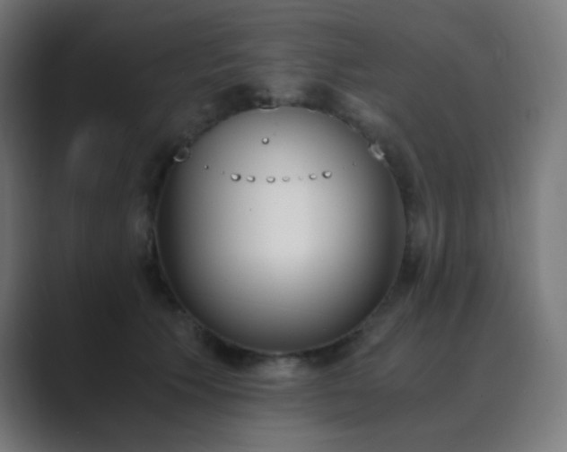 X0000089830609200706281213