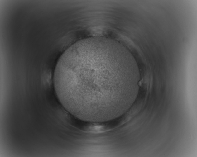 X0000089830610200706281213