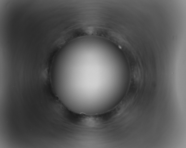 X0000089830611200706281213