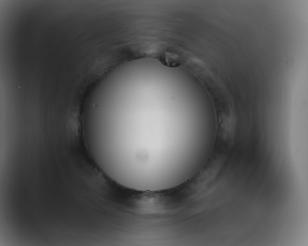 X0000089830612200706281213