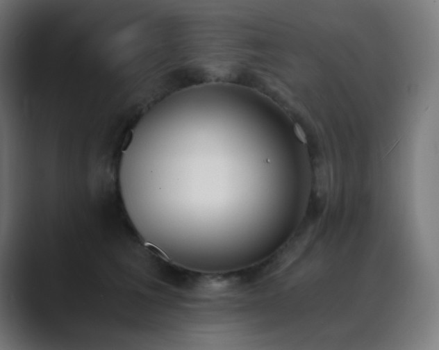 X0000089830613200706281213