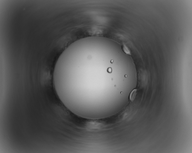 X0000089830614200706281213