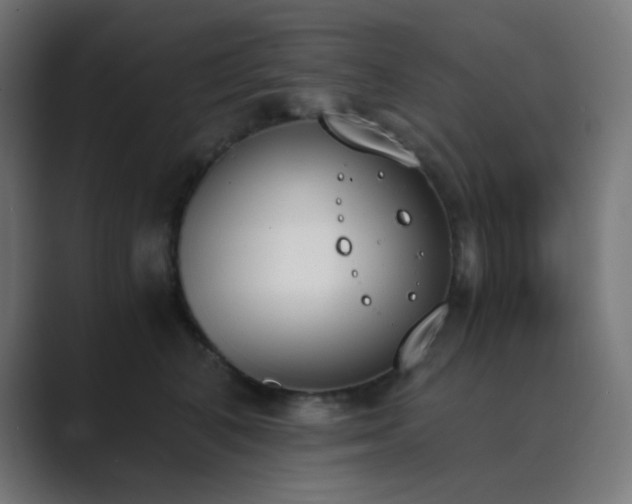 X0000089830616200706281213