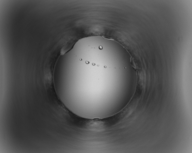 X0000089830617200706281213