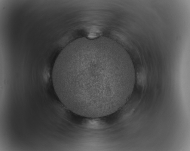 X0000089830618200706281213