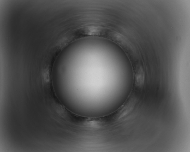 X0000089830620200706281213