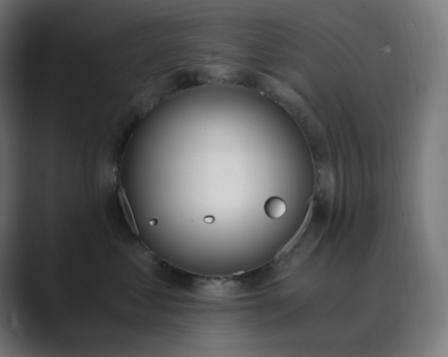 X0000089830621200706281213