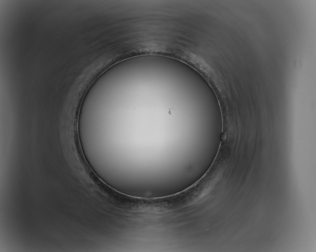 X0000089830625200706281212