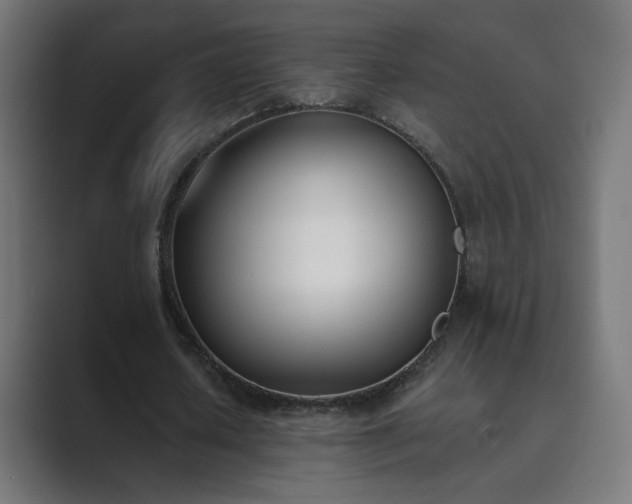 X0000089830626200706281212
