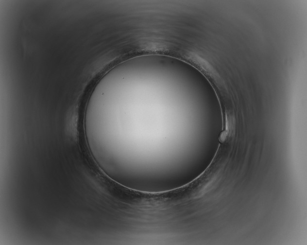 X0000089830627200706281212