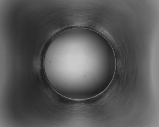 X0000089830628200706281212