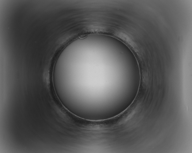 X0000089830629200706281212