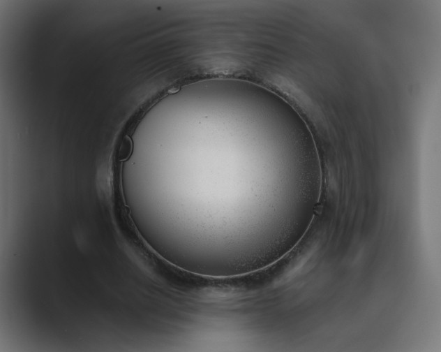 X0000089830630200706281212
