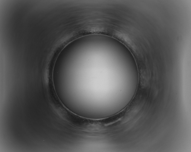 X0000089830631200706281212