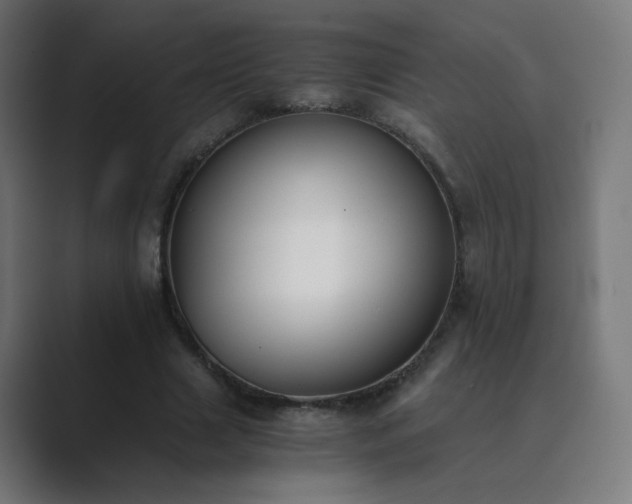 X0000089830633200706281212
