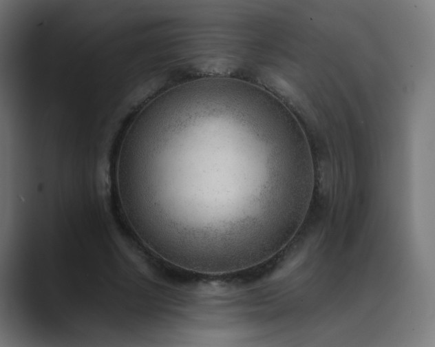 X0000089830634200706281212