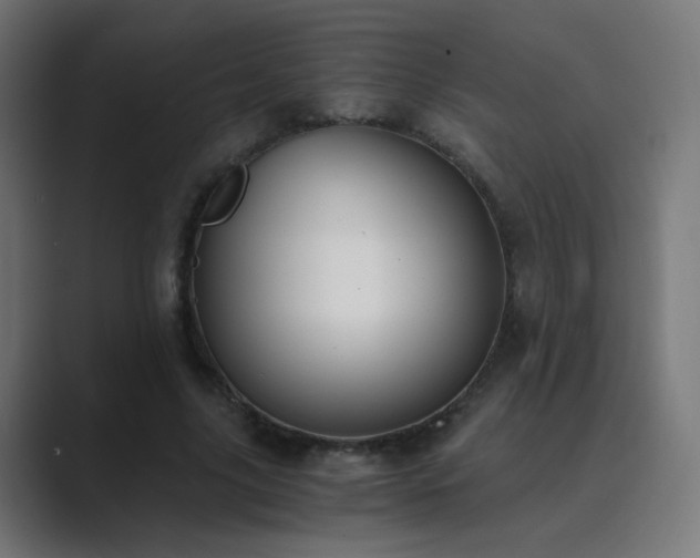 X0000089830635200706281212