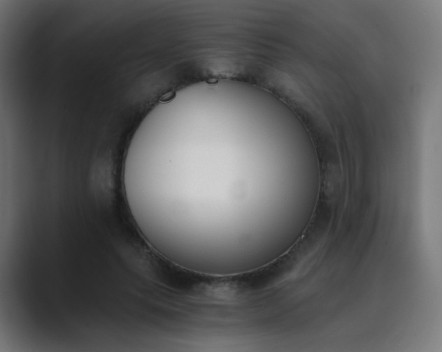X0000089830639200706281212