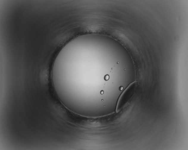 X0000089830640200706281212
