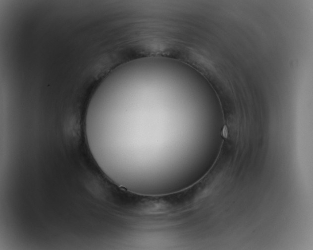 X0000089830642200706281212