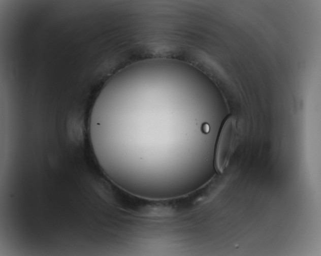 X0000089830644200706281212