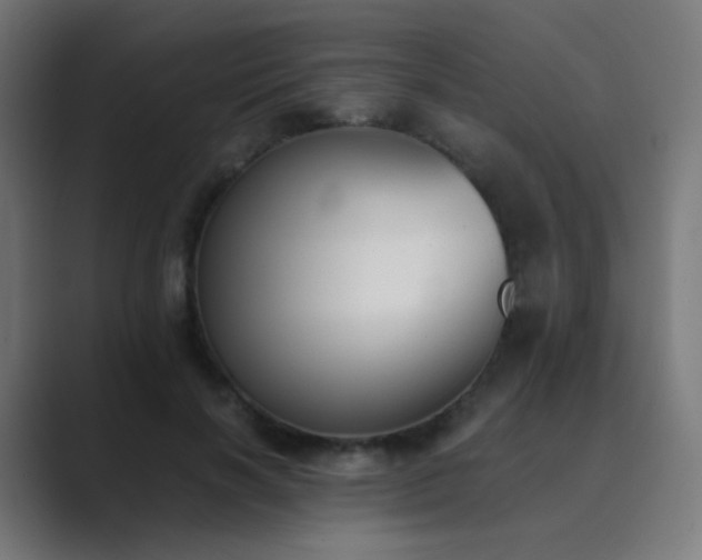 X0000089830646200706281212