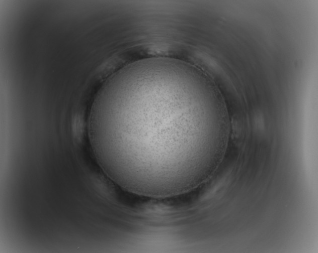 X0000089830648200706281212