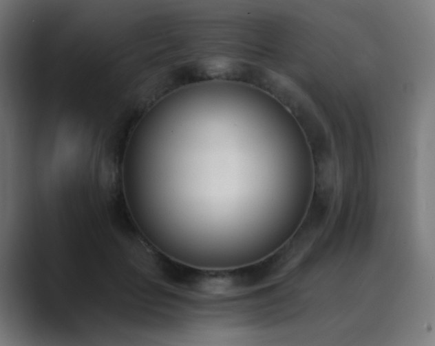 X0000089830653200706281212