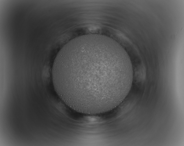 X0000089830654200706281212