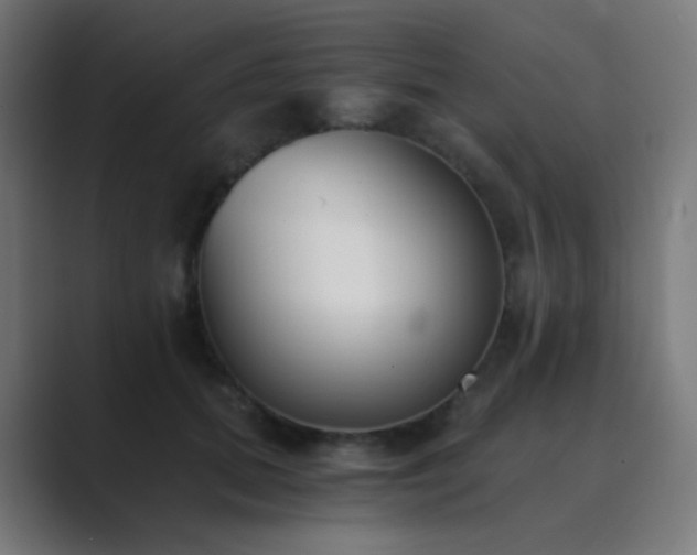 X0000089830655200706281212