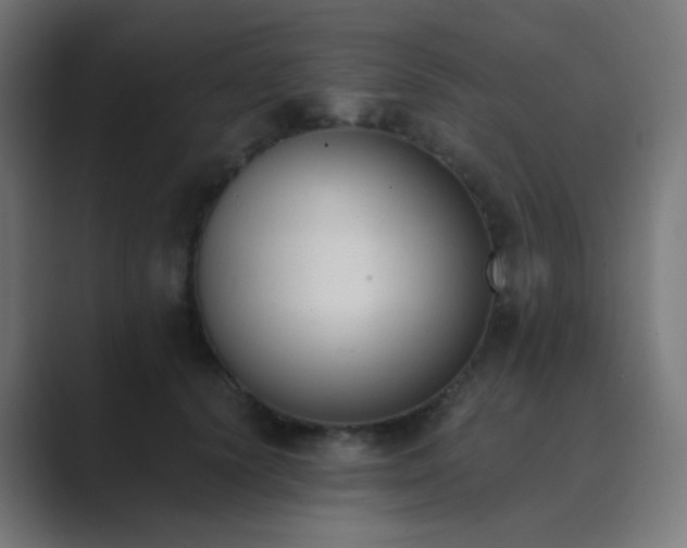 X0000089830656200706281212