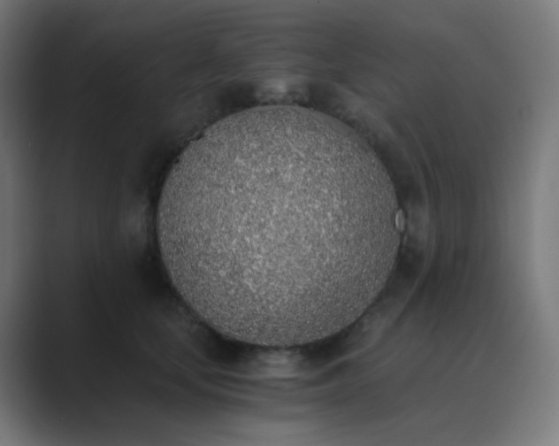 X0000089830659200706281212