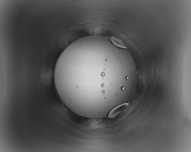 X0000089830660200706281212