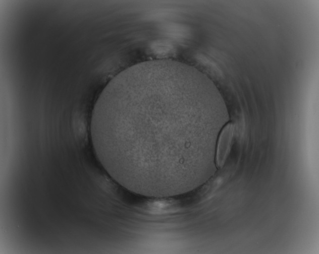 X0000089830662200706281213