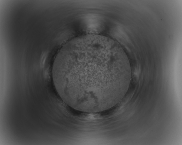 X0000089830663200706281213