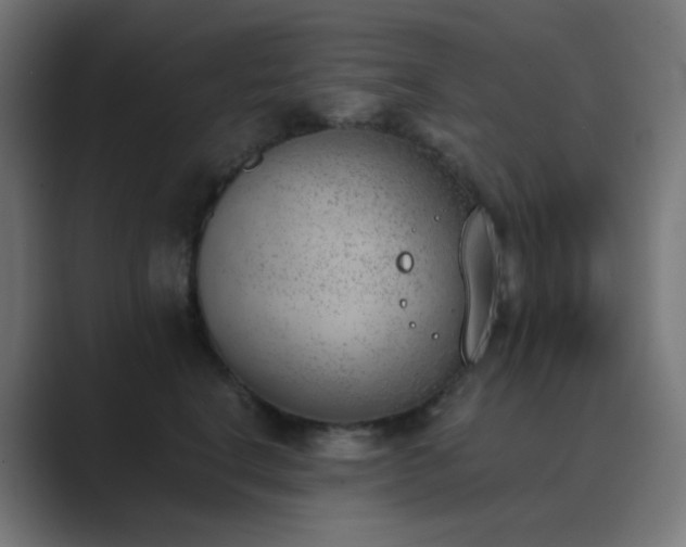 X0000089830664200706281213
