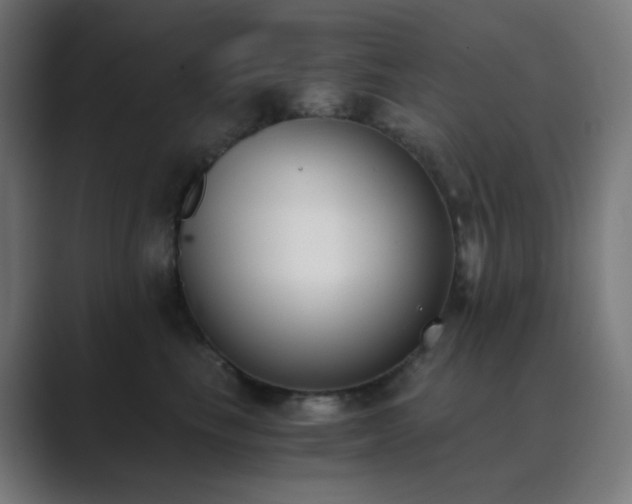 X0000089830665200706281213