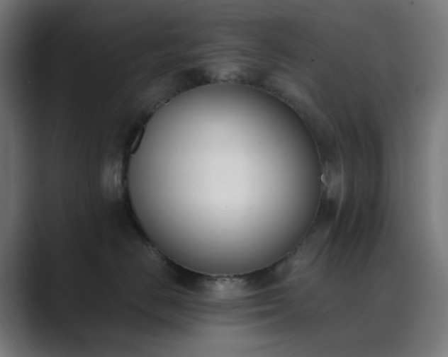 X0000089830670200706281213