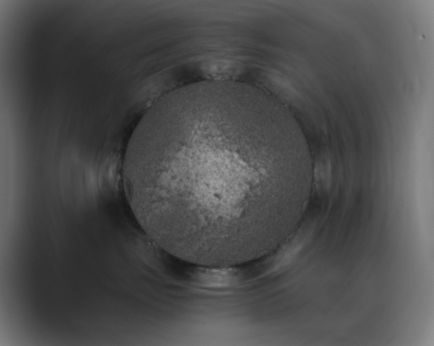 X0000089830671200706281213