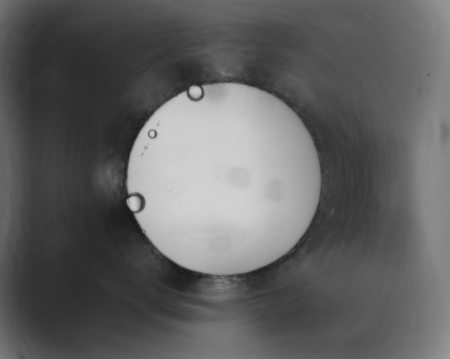 X0000089830672200706281213