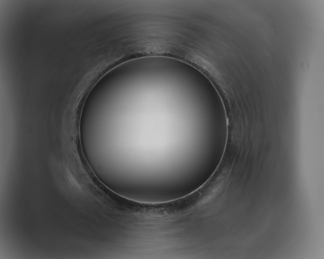 X0000089830673200706281212