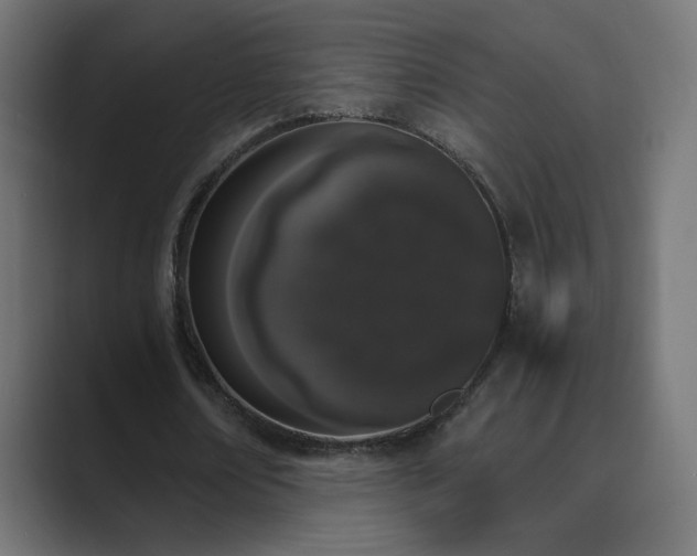 X0000089830674200706281212