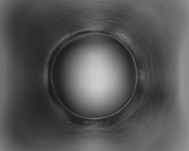 X0000089830676200706281212