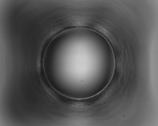 X0000089830677200706281212