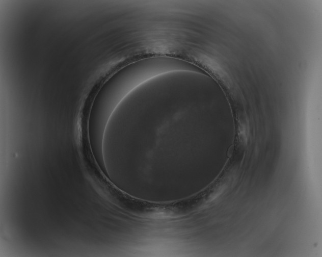 X0000089830678200706281212