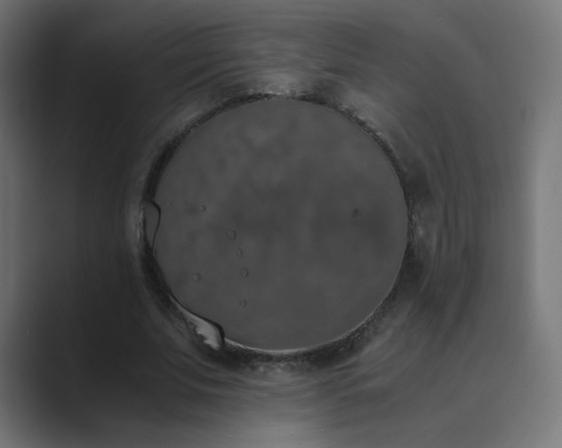 X0000089830679200706281212